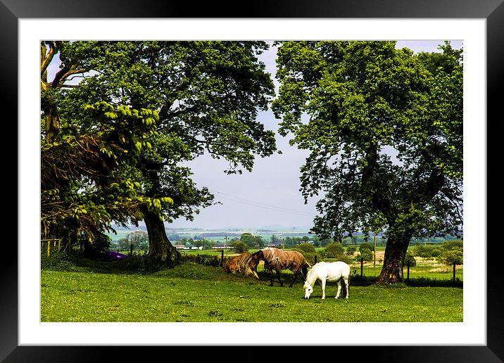 Rural Idyll Framed Mounted Print by Christina Helliwell