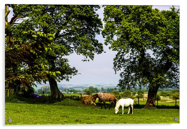 Rural Idyll Acrylic by Christina Helliwell