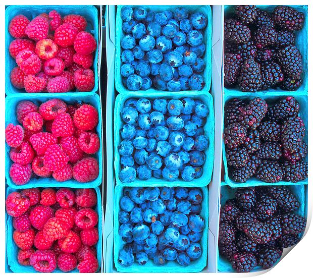 Farm Fresh Berries Print by Ram Vasudev