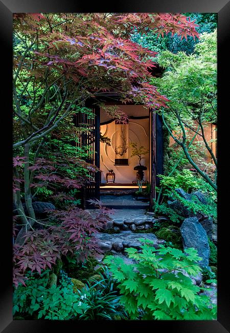 Japanese Garden Framed Print by Neal P