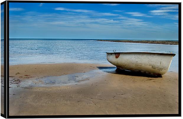 Beached Canvas Print by Mike Thomson