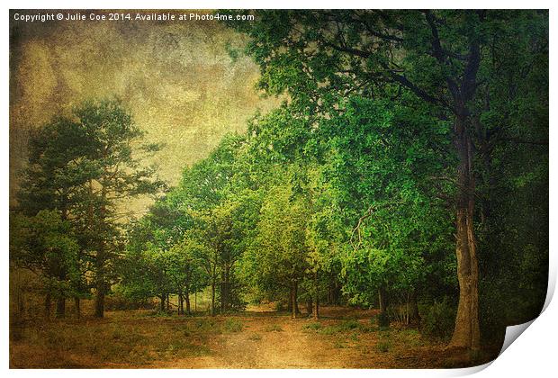 Holt Country Park 4 Print by Julie Coe