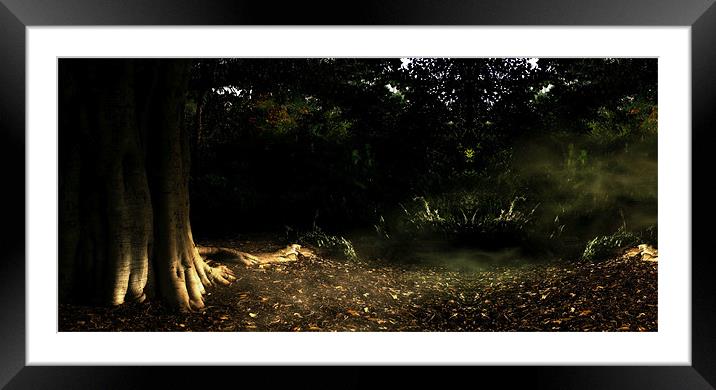 Enchantment 2144_90585 Framed Mounted Print by julie williams