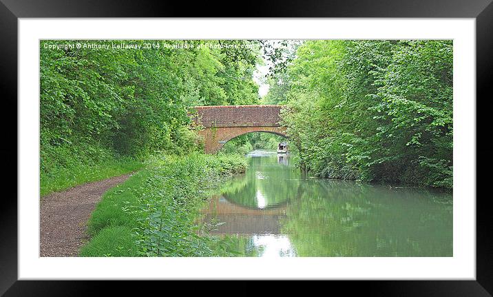 BASINGSTOKE CANAL Framed Mounted Print by Anthony Kellaway