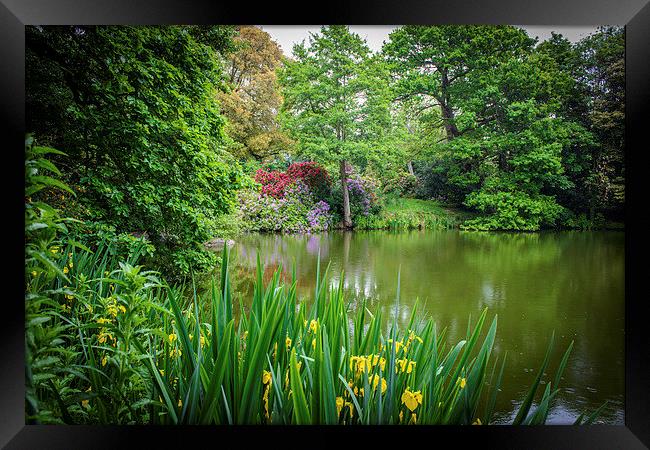 Pond of Many Colours Framed Print by matthew  mallett