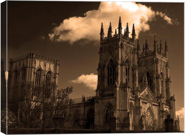 York MInster in the fall Canvas Print by Robert Gipson