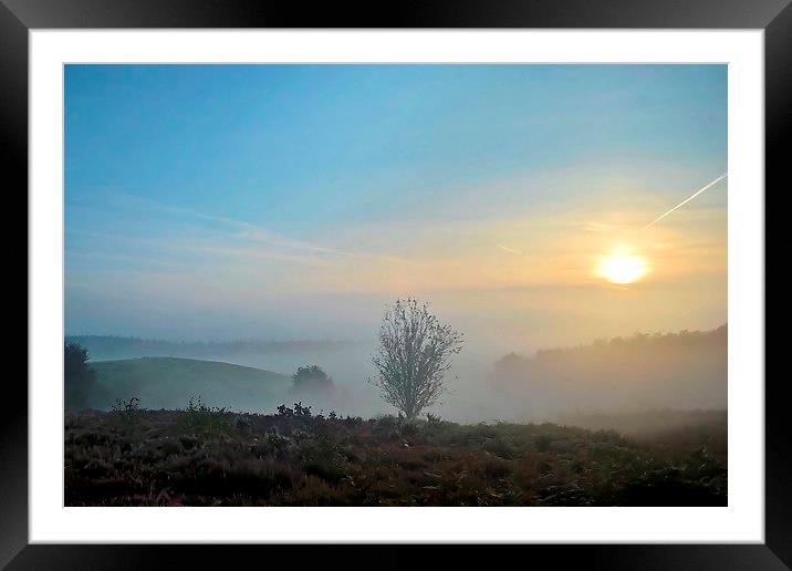 Sunrise On Broxhead Common Framed Mounted Print by Mark  F Banks