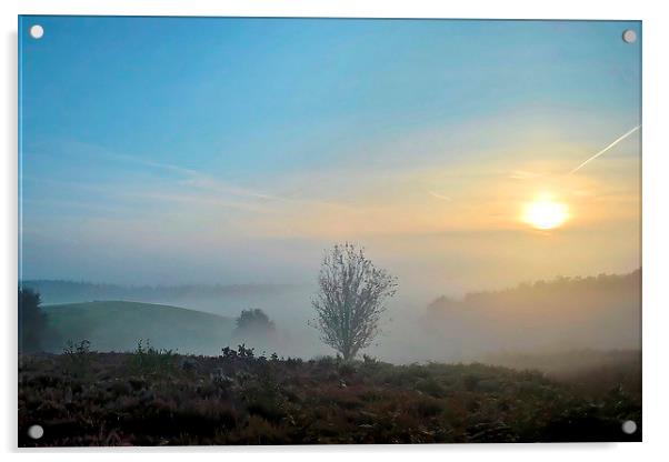 Sunrise On Broxhead Common Acrylic by Mark  F Banks