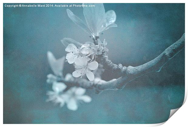 Apple Blossom Blues. Print by Annabelle Ward