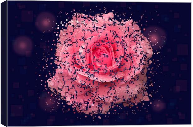 Shattered Rose Canvas Print by Malcolm McHugh