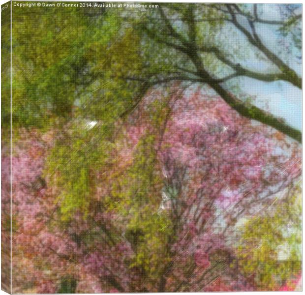 Victoria Park Spring Time 1 of 6 Canvas Print by Dawn O'Connor