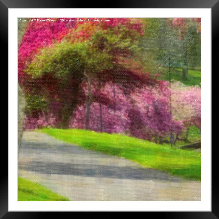 Victoria Park Spring Time 5 of 6 Framed Mounted Print by Dawn O'Connor