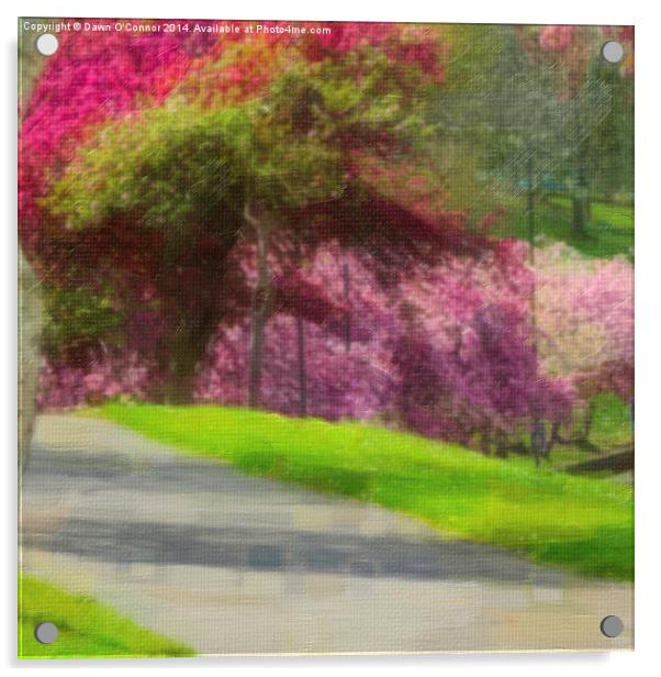 Victoria Park Spring Time 5 of 6 Acrylic by Dawn O'Connor