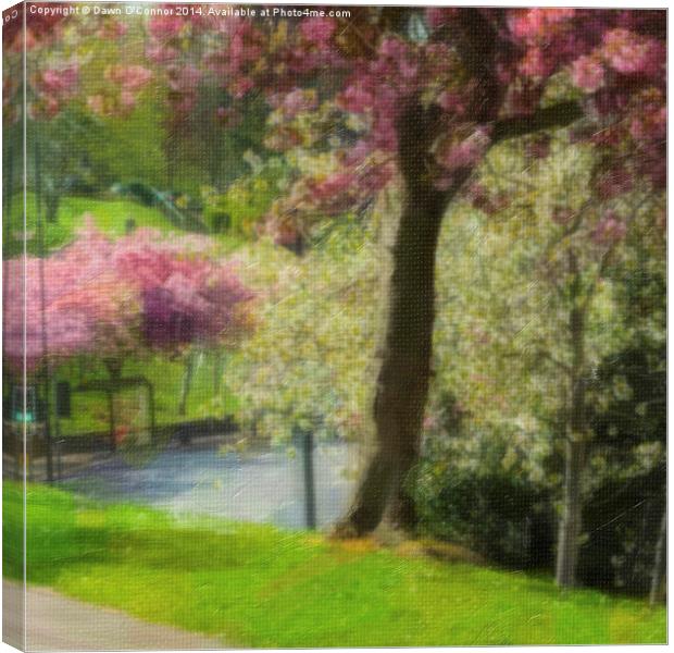 Victoria Park Spring Time 6 of 6 Canvas Print by Dawn O'Connor