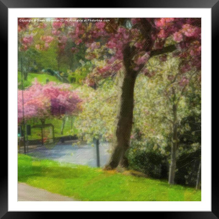 Victoria Park Spring Time 6 of 6 Framed Mounted Print by Dawn O'Connor