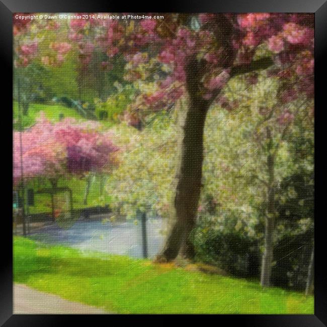 Victoria Park Spring Time 6 of 6 Framed Print by Dawn O'Connor