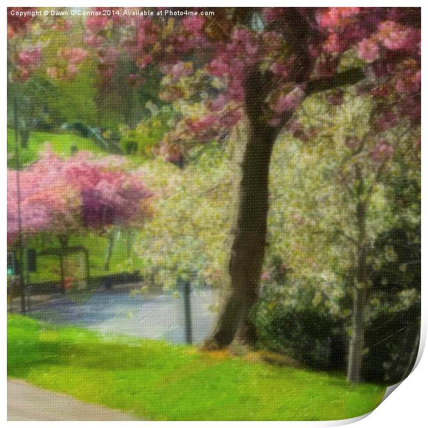 Victoria Park Spring Time 6 of 6 Print by Dawn O'Connor