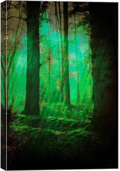 Through The Mystical Woods.. Canvas Print by Rosanna Zavanaiu