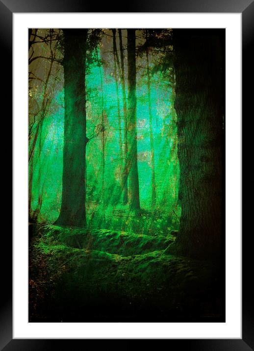 Through The Mystical Woods.. Framed Mounted Print by Rosanna Zavanaiu