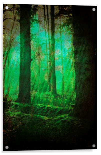 Through The Mystical Woods.. Acrylic by Rosanna Zavanaiu