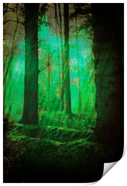 Through The Mystical Woods.. Print by Rosanna Zavanaiu
