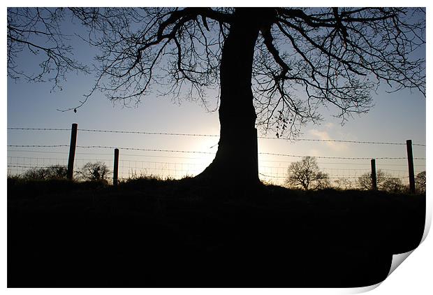 sun set tree scape Print by Sarah Beattie
