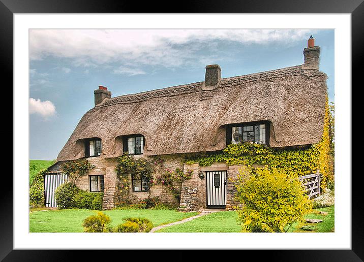 Dorset Cottage . Framed Mounted Print by Irene Burdell