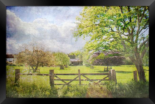 Over the Gate Framed Print by Dawn Cox