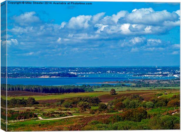 View from the top. Canvas Print by Mike Streeter