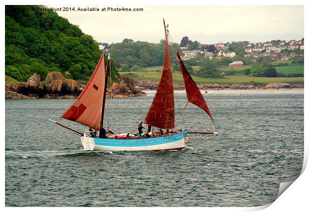 Cornish Lugger Sailing From Brixham Print by Peter F Hunt