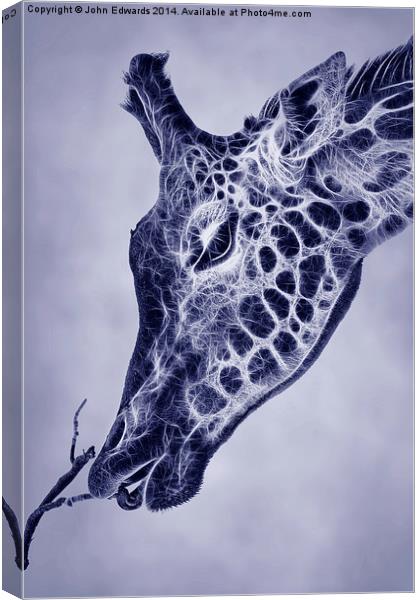 Fractal Giraffe Duotone Canvas Print by John Edwards
