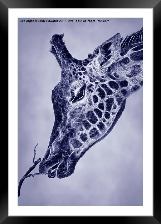 Fractal Giraffe Duotone Framed Mounted Print by John Edwards