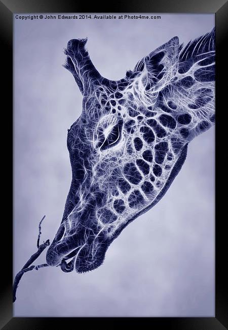 Fractal Giraffe Duotone Framed Print by John Edwards
