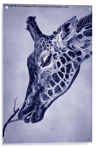 Fractal Giraffe Duotone Acrylic by John Edwards