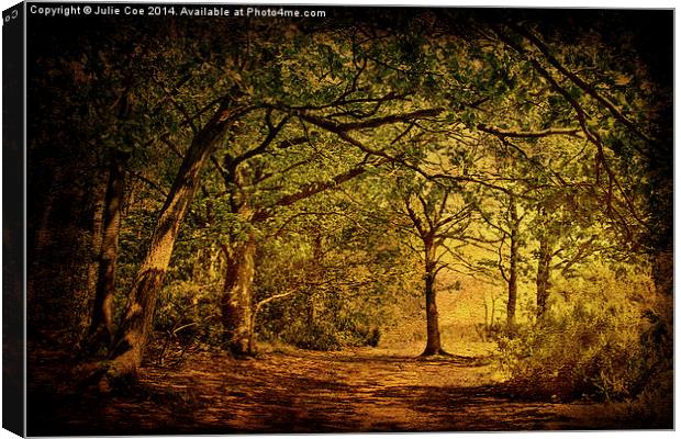 Holt Country Park 8 Canvas Print by Julie Coe