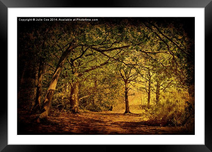 Holt Country Park 8 Framed Mounted Print by Julie Coe