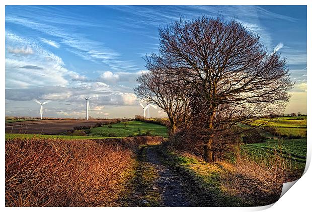 Pathway to Penny Hill Print by Darren Galpin