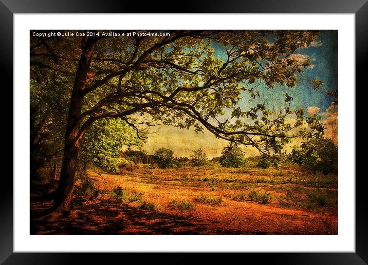 Holt Country Park 7 Framed Mounted Print by Julie Coe
