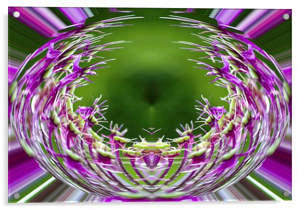 Allium Sphere Acrylic by Georgie Lilly