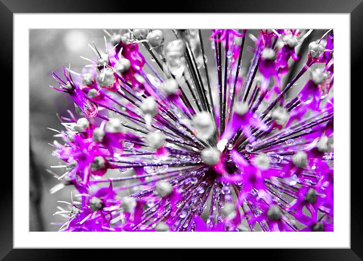 Spiky Sphere Framed Mounted Print by Georgie Lilly