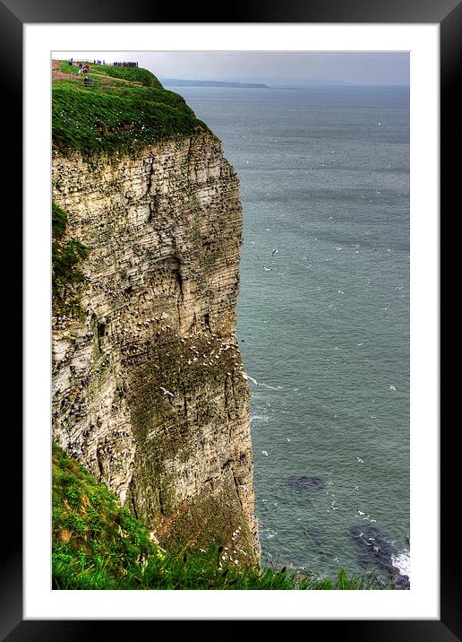 The cliffs at Bempton Framed Mounted Print by Tom Gomez