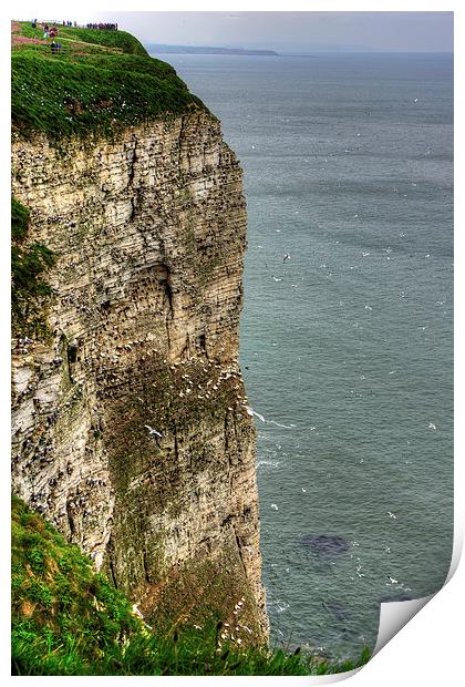 The cliffs at Bempton Print by Tom Gomez
