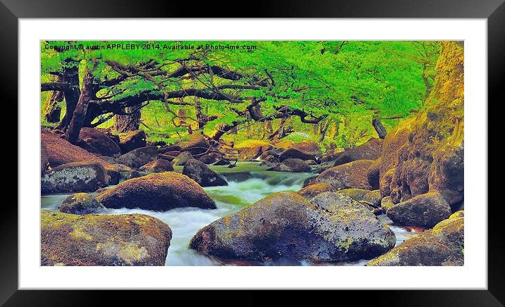 EAST DART RIVER AT DARTMEET Framed Mounted Print by austin APPLEBY