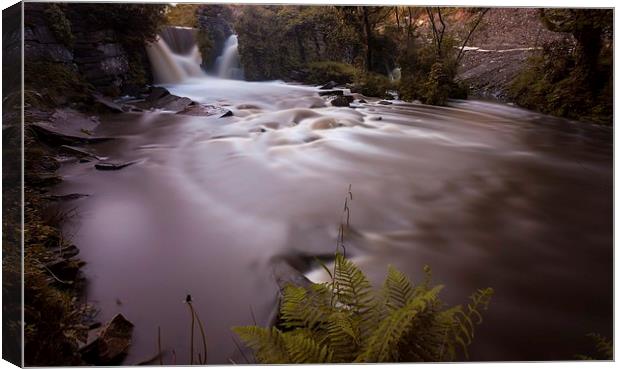 Penllergaer waterfall Swansea Canvas Print by Leighton Collins