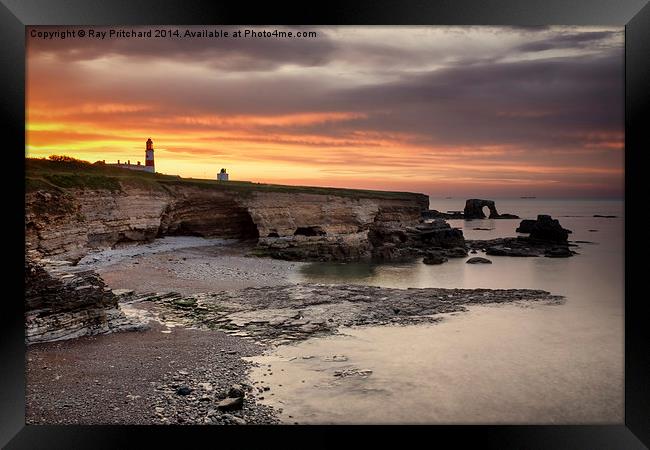Souter Lighthouse at Sunset Framed Print by Ray Pritchard