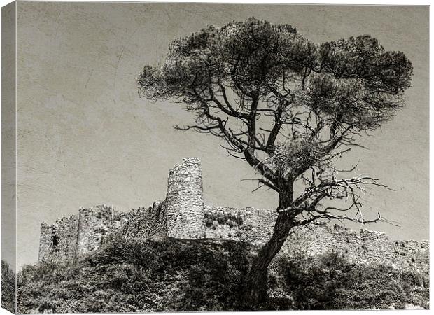 Welsh ruin Canvas Print by Jon Mills
