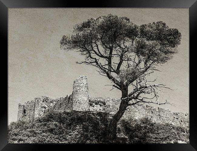 Welsh ruin Framed Print by Jon Mills