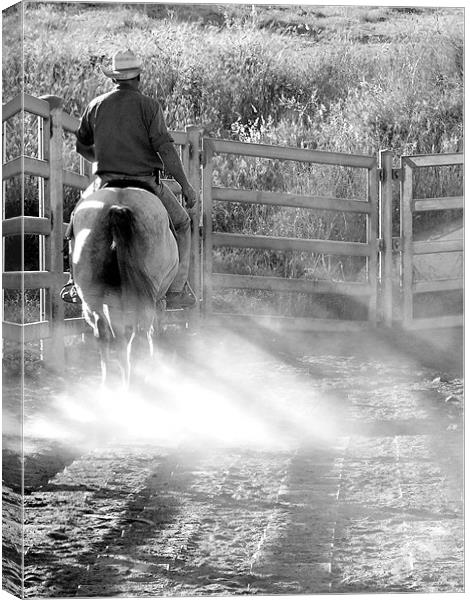 Pen Rider Canvas Print by Rod Last Name
