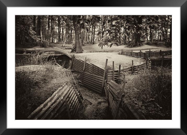 Sanctuary Woods Framed Mounted Print by Rob Hawkins