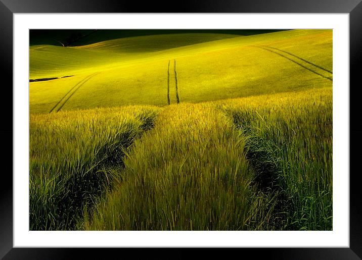 Rolling wheat fields Framed Mounted Print by Robert Fielding